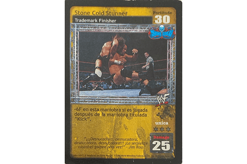 Stone Cold Stunner - ESPAÑOL