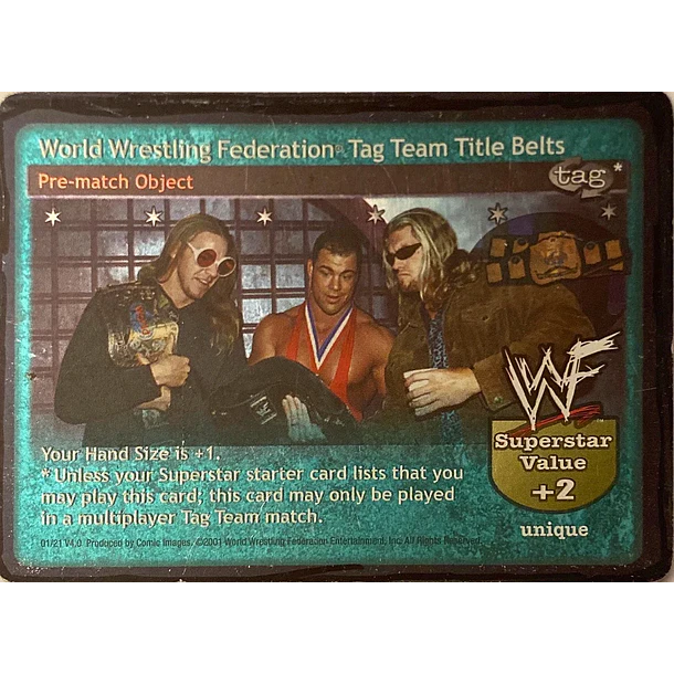 World Wrestling Federation Tag Team Title Belts D 1