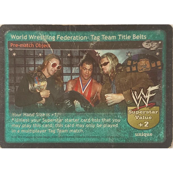 World Wrestling Federation Tag Team Title Belts D 2