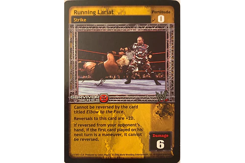 Running Lariat - SS2