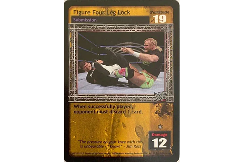 Figure Four Leg Lock - ERROR