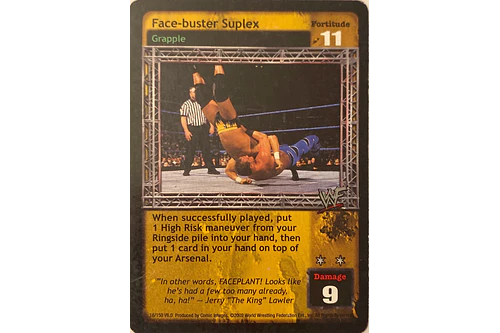 Face-buster Suplex - SummerSlam