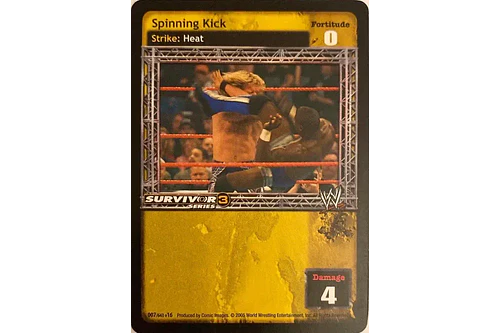 Spinning Kick - SS3