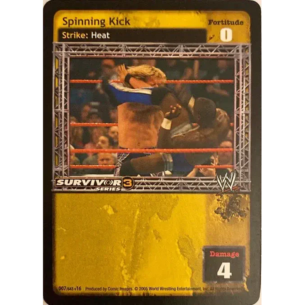 Spinning Kick - SS3