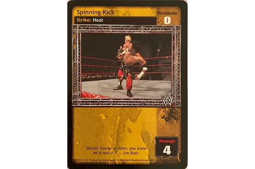 Spinning Kick - Vengeance