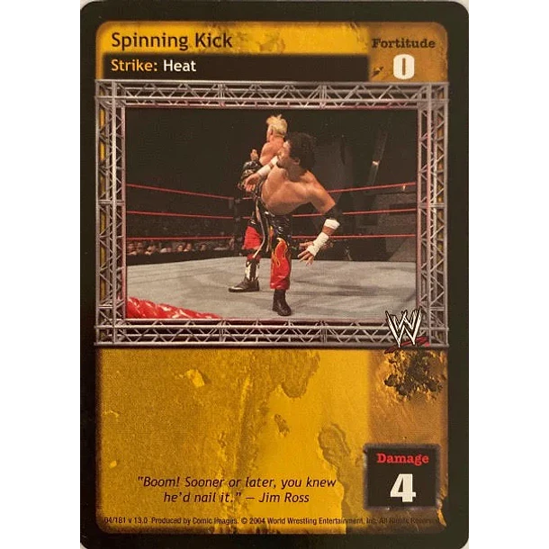Spinning Kick - Vengeance