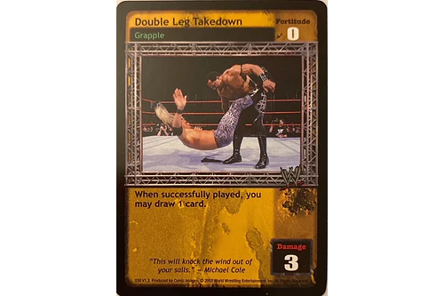 Double Leg Takedown - Ruthless Aggression