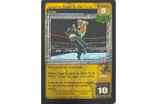 Leaping Knee to the Face - ESPAÑOL LP