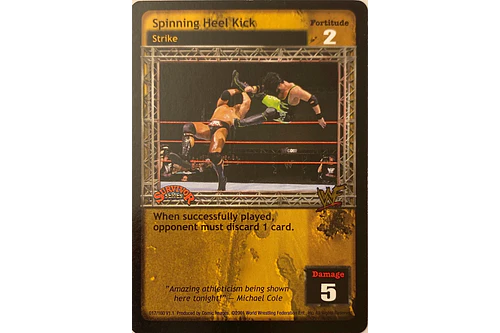 Spinning Heel Kick - SS1