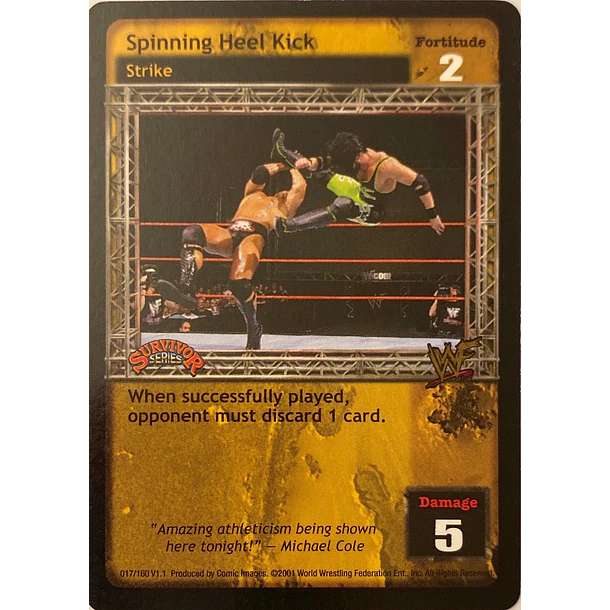 Spinning Heel Kick - SS1