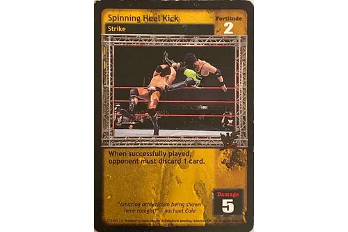 Spinning Heel Kick - Premiere