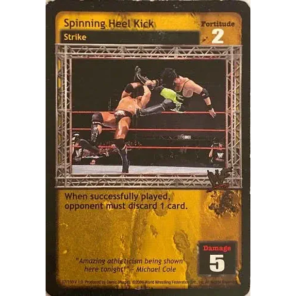 Spinning Heel Kick - Premiere