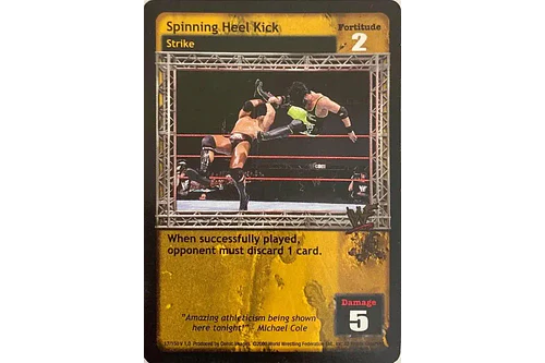Spinning Heel Kick - ERROR