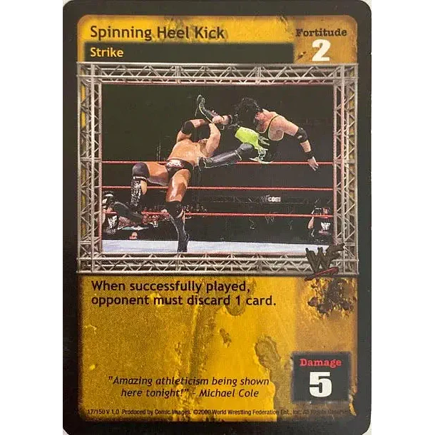 Spinning Heel Kick - ERROR
