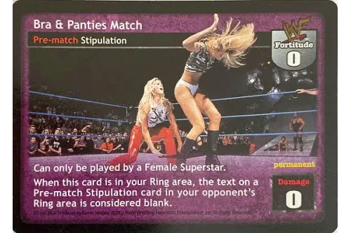 Bra & Panties Match - SummerSlam