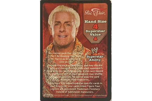 Ric Flair Superstar Card - SS3 MP
