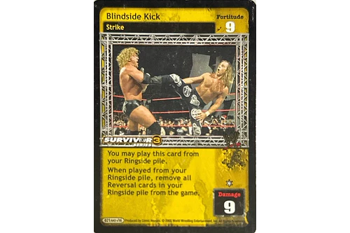 Blindside Kick - SS3