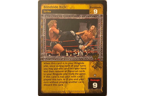 Blindside Kick - Vengeance
