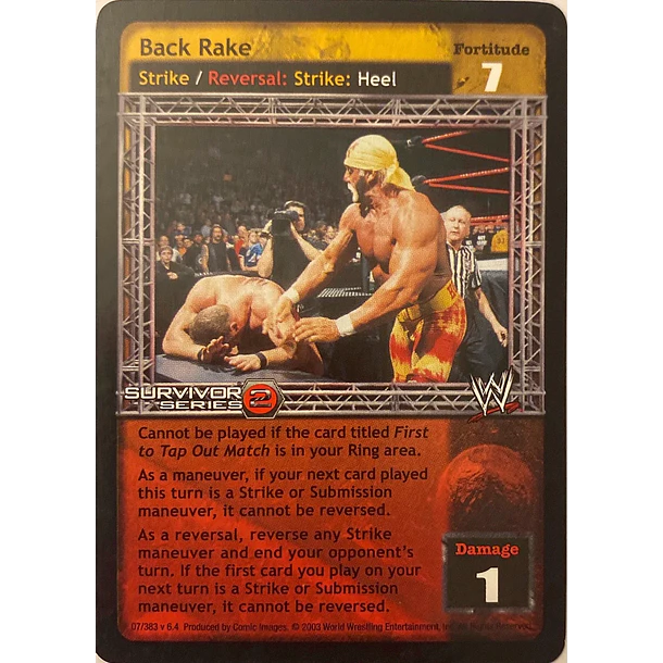 Back Rake - SS2 LP