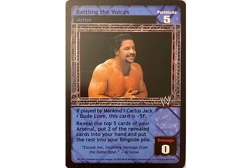 Battling the Voices - Ruthless Aggression