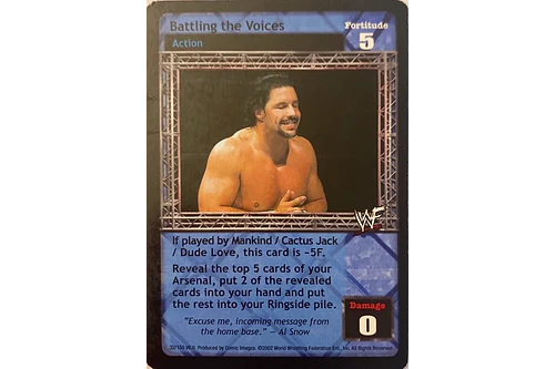 Battling the Voices - SummerSlam