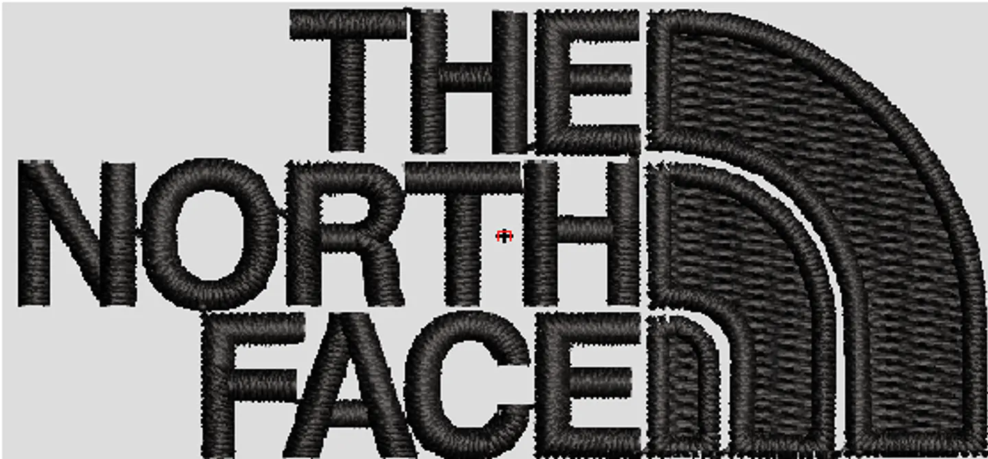 THE NORTH FACE 1