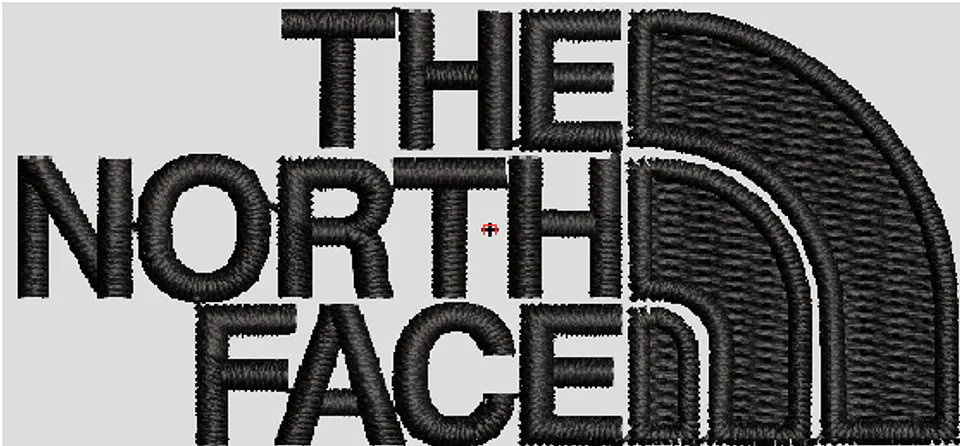 THE NORTH FACE 1