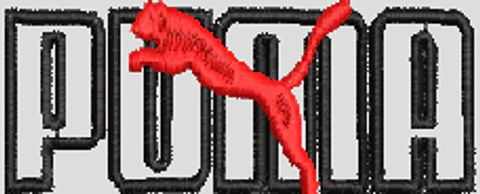 PUMA2