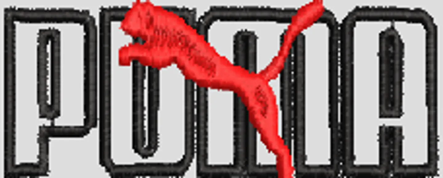 PUMA2 1
