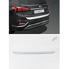 PORTALÓN CROMADO SANTA FE TM 2019 - 2023 1