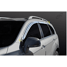 BOTA AGUA CROMADA   CAPTIVA 1