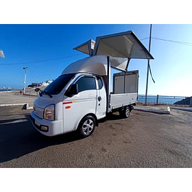 Hyundai Porter Ii Gaviota