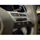 AL NEW PALISADE 2024 / 8PASAJEROS / PANTALLA / DIESEL / 4WD / SUNROOF / TOPLINE 39