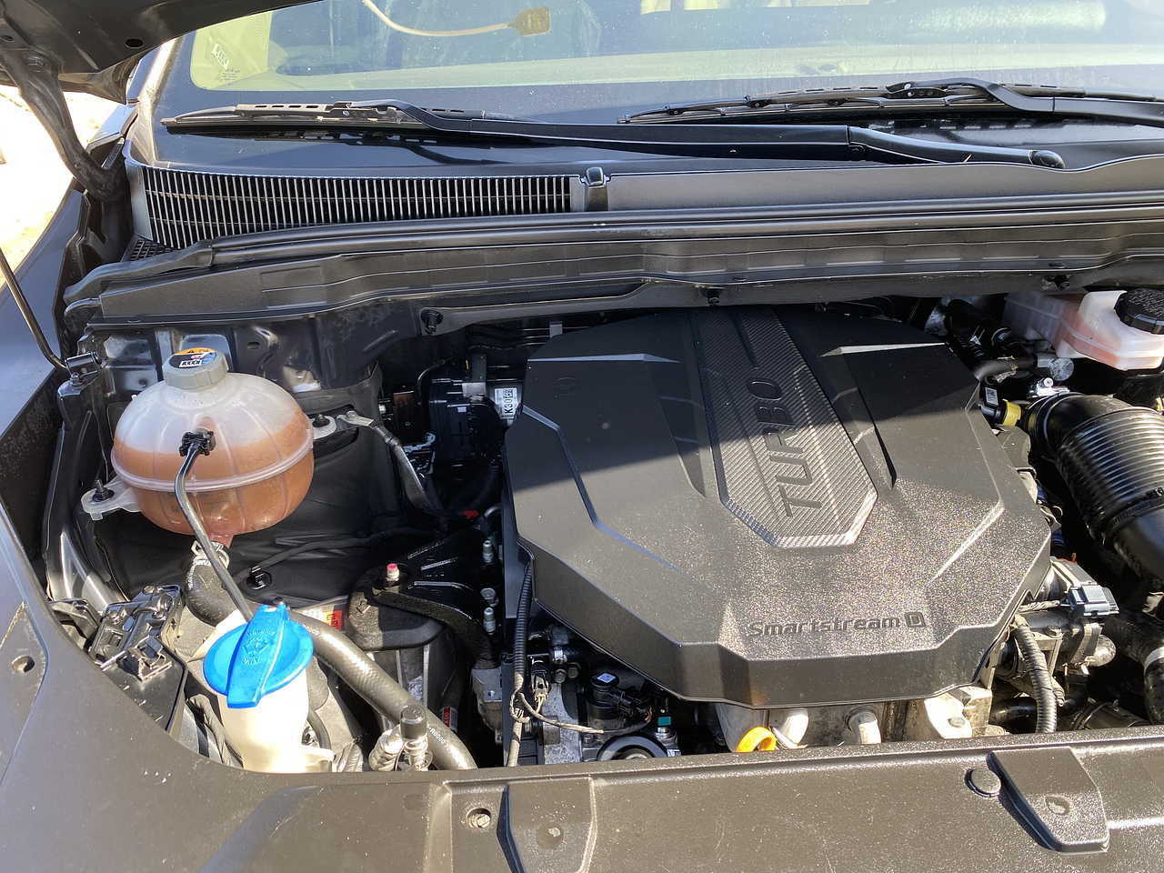 ALL NEW CARNIVAL 2021 / 9PASAJEROS / PANTALLA / DIESEL 38