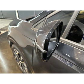 KIA Carnival — foto 10 de 16
