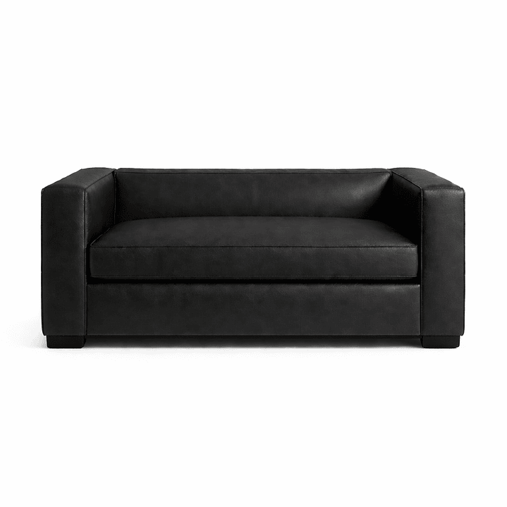 Sofá Cama - Mendoza 11