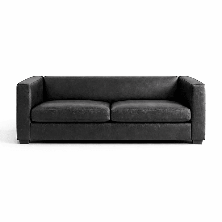 Sofá Cama - Mendoza 29