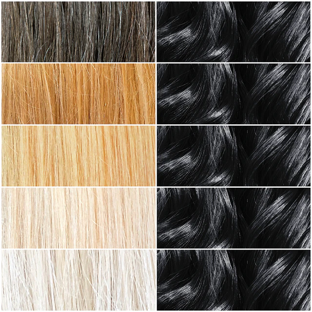 Black Mamba