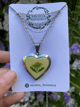 Relicario Corazon de Lobularia