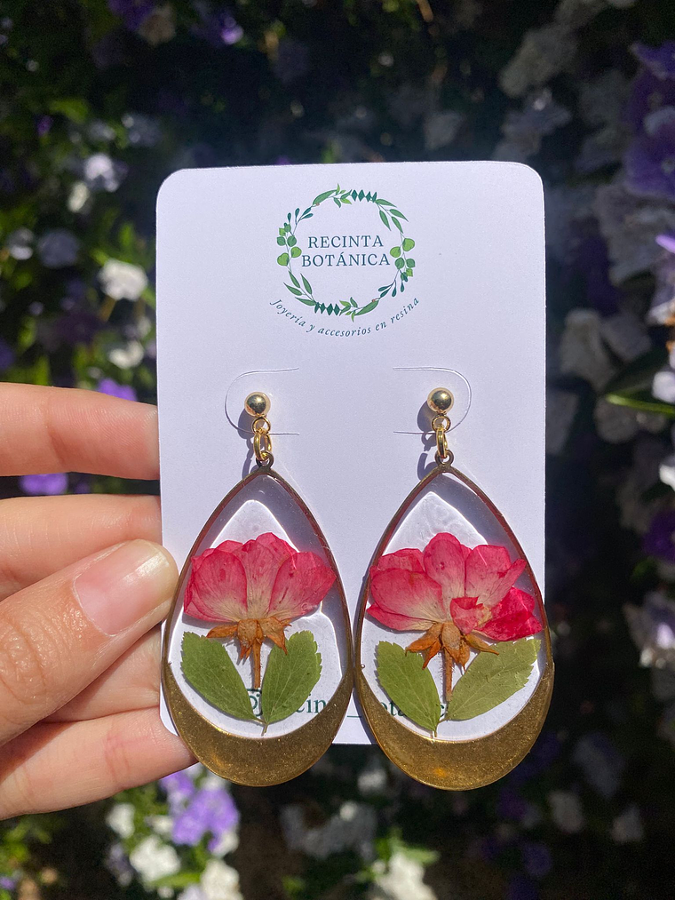 Aros Que Llegaras con Rosas 2