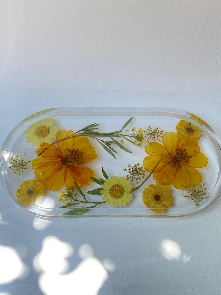 Bandeja Raíz Dorada 1