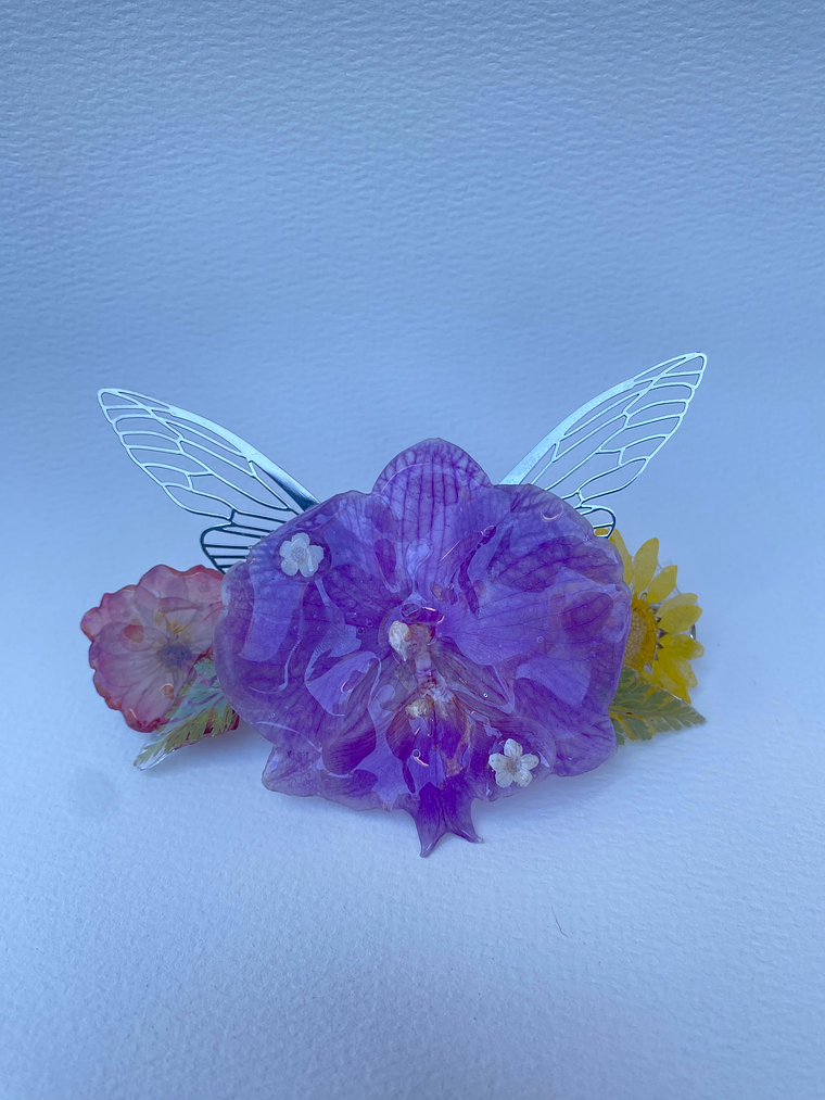 Pinche Orquídea y compañía 1