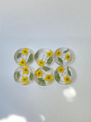 Botones Perdidos en las Flores