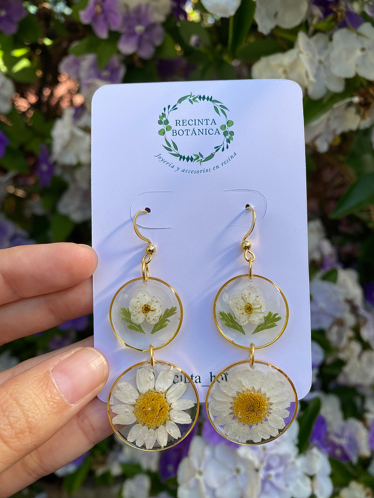 Aros Círculos Dorados  1