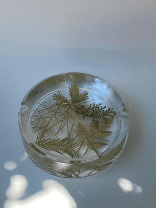 Cenicero Directo del Musgo