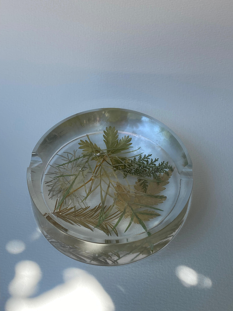 Cenicero Directo del Musgo 1