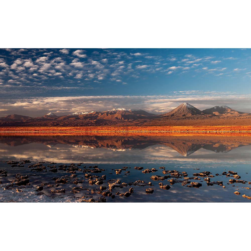 Laguna Cejar