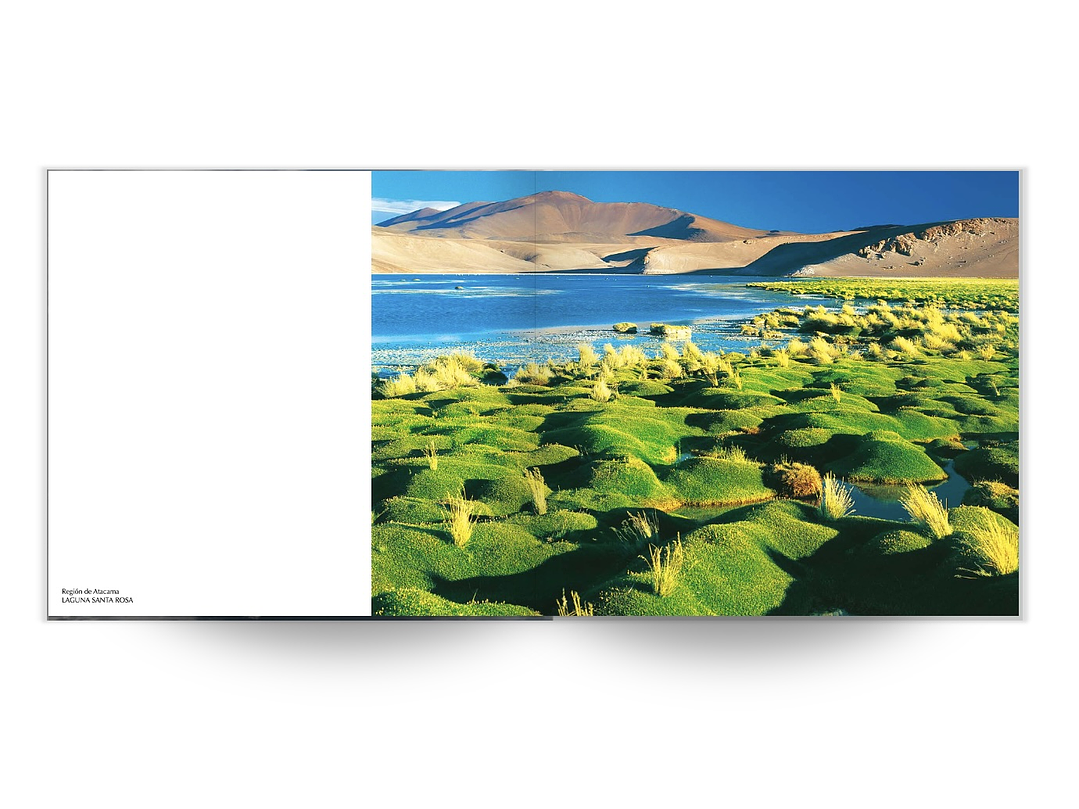 Libro Recorriendo Chile - Una larga y delgada franja de colores DISPONIBLE PRONTO 2