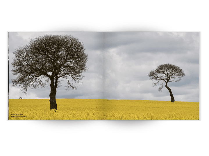 Libro Recorriendo Chile - Una larga y delgada franja de colores DISPONIBLE PRONTO 4