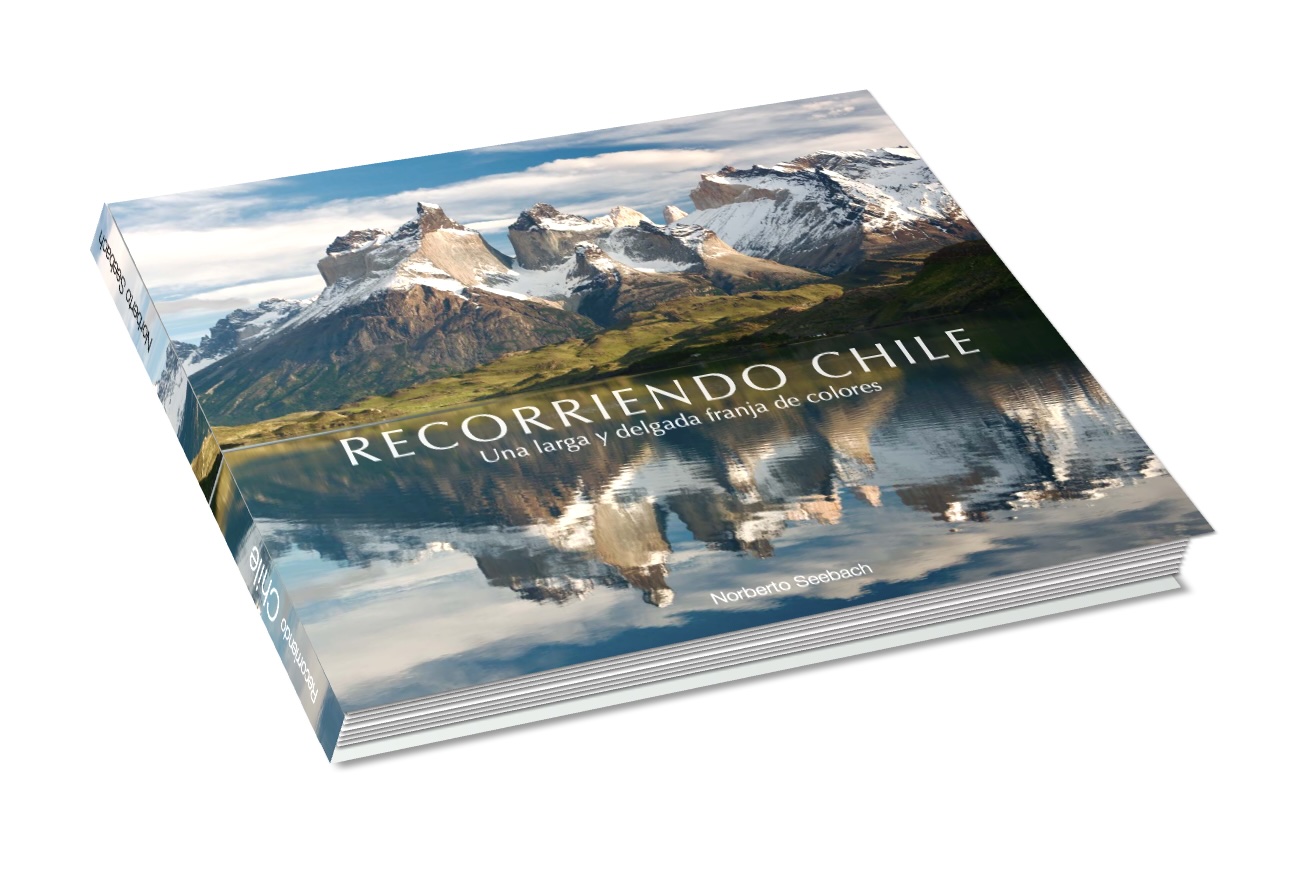 DISPONIBLE PRONTO:  Una larga y delgada franja de colores